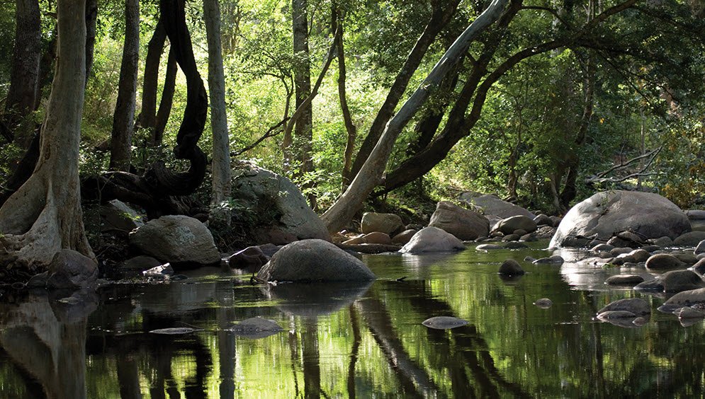 Chinnar Wildlife Sanctuary